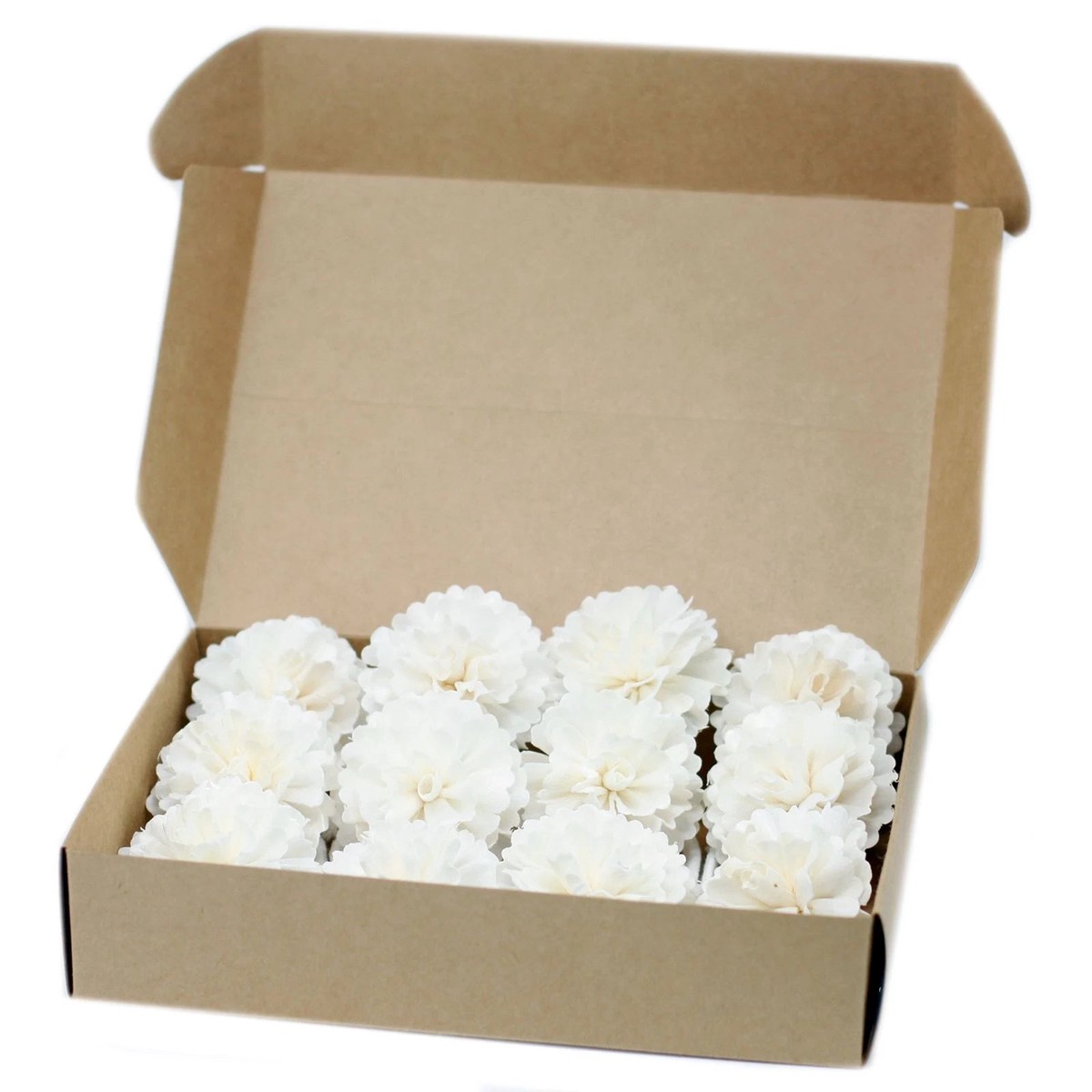 4 x Natural Diffuser Flowers Medium Carnation on String