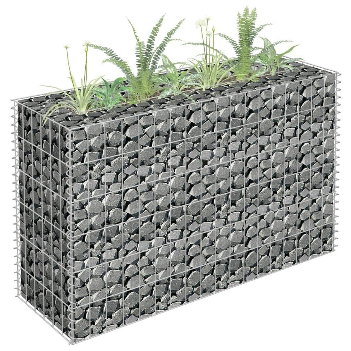 Gabion Raised Bed M